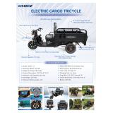 Electric Cargo Tricycle Black