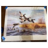 Gary Moss Canvasing the Blocks Signed Limited Edition Duck Print