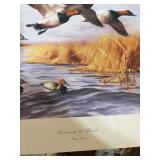 Gary Moss Canvasing the Blocks Signed Limited Edition Duck Print