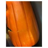 Vintage Halloween Pumpkin Decor Lot 9 Pc Light-Up Blow Mold Style