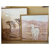 Set of 2 Framed Desert Prints Joshua Tree Llama Wood Frames Decor