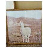 Set of 2 Framed Desert Prints Joshua Tree Llama Wood Frames Decor