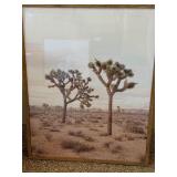 Set of 2 Framed Desert Prints Joshua Tree Llama Wood Frames Decor