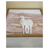 Set of 2 Framed Desert Prints Joshua Tree Llama Wood Frames Decor