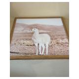 Set of 2 Framed Desert Prints Joshua Tree Llama Wood Frames Decor