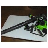 Greenworks Cordless Backpack Blower with 80 Volt 4,0 Ah Battery Powers on