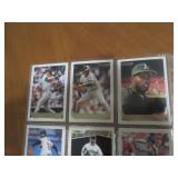 Double Sided Page of Baseball Trading Card Binder Page