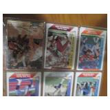 Double Sided Page of Sports Trading Card Binder Collection