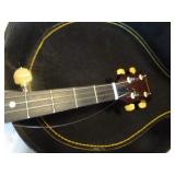Gremlin Banjo, Case