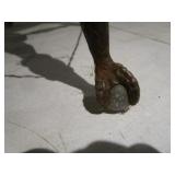Antique Organ Stool, Claw & Ball Feet