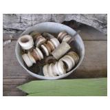 Collection of outdoor birdhouses, s...
