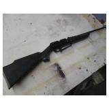 Daily shotgun style pump action .17...