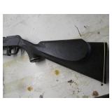 Daily shotgun style pump action .17...