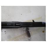 Daily shotgun style pump action .17...