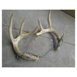 Pair of non-mounted antlers and 5-g...
