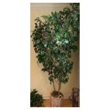 Large Artificial Ficus tree