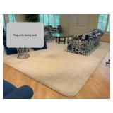 Dupont certified stain master carpet/area rug
