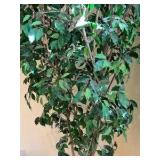 Large Artificial Ficus tree