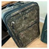 Group of various suitcases