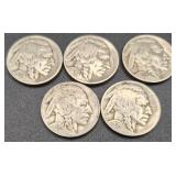 Collection of 20 Buffalo Nickels/indian Head Nickels