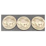 Collection of 20 Buffalo Nickels/indian Head Nickels