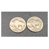 Collection of 20 Buffalo Nickels/indian Head Nickels