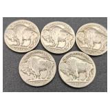 Collection of 20 Buffalo Nickels/indian Head Nickels