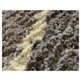 Grey Chevon Area Rug - 5