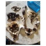 Animal fur pelts and tails