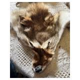 Animal fur pelts and tails
