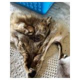 Animal fur pelts and tails