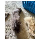 Animal fur pelts and tails