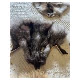 Animal fur pelts and tails