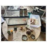 Hermit Crab Terrarium Setup including Tank, Food, Coconut Bedding, and Accessories