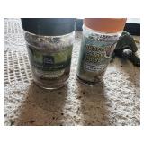 Hermit Crab Terrarium Setup including Tank, Food, Coconut Bedding, and Accessories