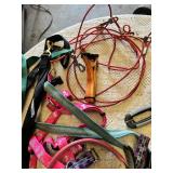 Various pet accessories including leashes, harnesses, and training tools, with dog-related supplies such as pee pads