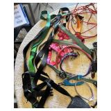 Various pet accessories including leashes, harnesses, and training tools, with dog-related supplies such as pee pads