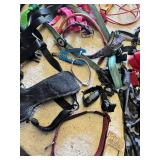 Various pet accessories including leashes, harnesses, and training tools, with dog-related supplies such as pee pads