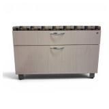 2 Door Wood Cabinet with Cushion Top  Dimensions: 36" x 24 x 18"