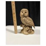5 Owls