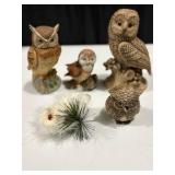5 Owls