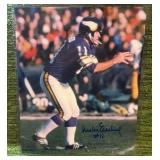 Vikings Mike Eischeid signed 8x10 pose 1 *VINTAGE* Minnesota NFL