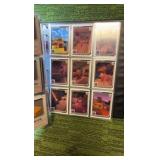 Minecraft the Video Game Cards in Binder Pages Approx. 150+ Cards
