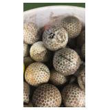 5 Gallon Bucket nearly Full of GOLF BALLS - Dirty Balls- GOOD Balls! Pro V