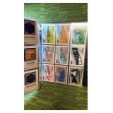 Minecraft the Video Game Cards in Binder Pages Approx. 150+ Cards