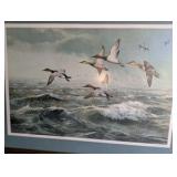 Framed color lithograph featuring Canvasback ducks in flight, titled "Rough Water - Canvasbacks", artist Maynard Reece
