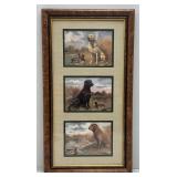 Misc. Framed Pictures