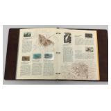 Large Stamp Collection