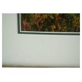 Framed Photo Print 17.5"x15.5". Signed and Numbered 48/500