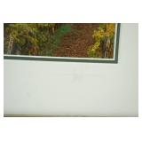 Framed Photo Print 17.5"x15.5". Signed and Numbered 48/500